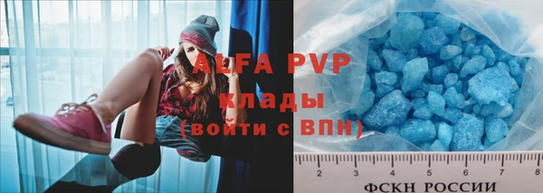амф Коряжма