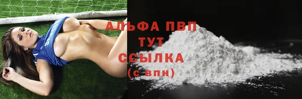амф Коряжма