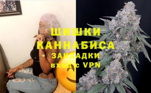 mdpv Костерёво