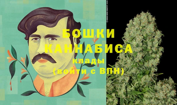 индика Корсаков