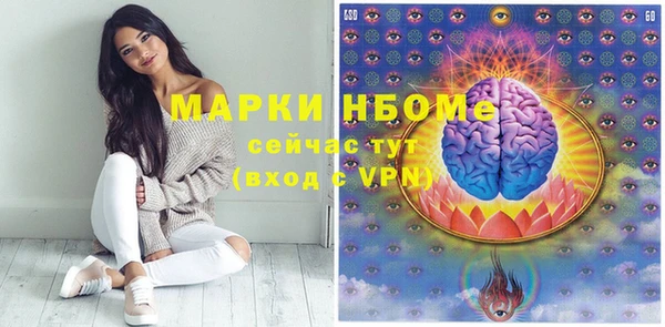 индика Корсаков