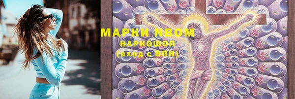 индика Корсаков