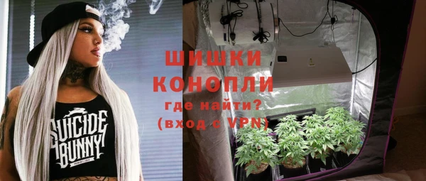 амф Коряжма