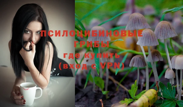 дмт Билибино