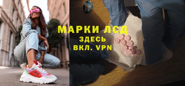 индика Корсаков